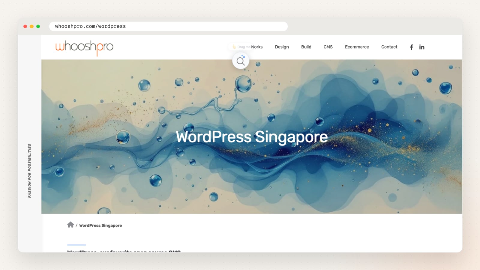 WhooshPro WordPress page (whooshpro.com/wordpress)